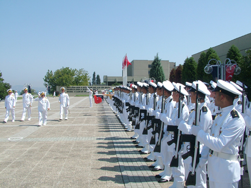 8936.jpg