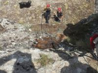 Malatya'da Kayalıklarda Mahsur Kalan Keçiler Kurtarıldı