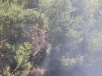 Aydın'da Ormanlık Alanda Başlayan Yangın Tarım Arazilerine Zarar Verdi