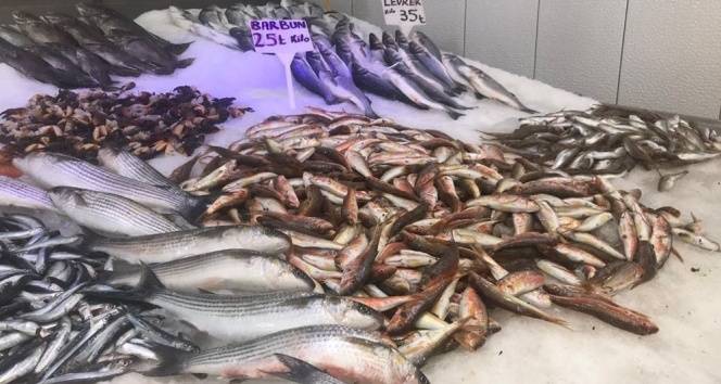 Hafızayı güçlendiren 5 süper besin 1