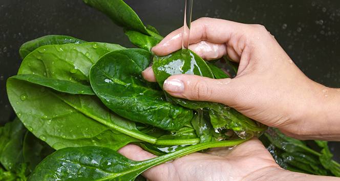 Hafızayı güçlendiren 5 süper besin 2