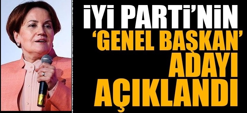Son Dakika : Meral Akşener'in istifasının ardından Genel Başkan adayı belirlendi