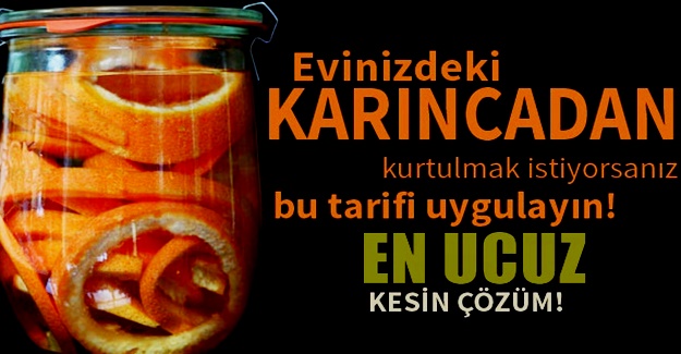 Evinizdeki karıncaları, Böcekleri,Sivri sinekleri yok eden Pratik yöntem...