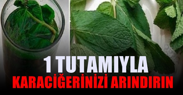 Bir çok hastalık Karaciğer Yağlanması İle Başlar,İşte Önleyen kür;