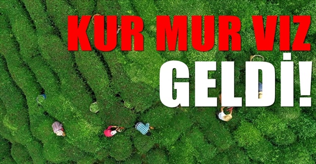 Bir çok firmayı kriz vururken onları teğet geçti!