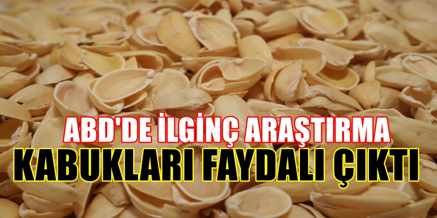 Antep Fıstığının kabuklarıyla ilgili sıradışı araştırma : Resmen kanıtladılar