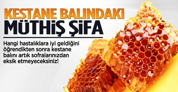 Kestane balındaki müthiş şifa