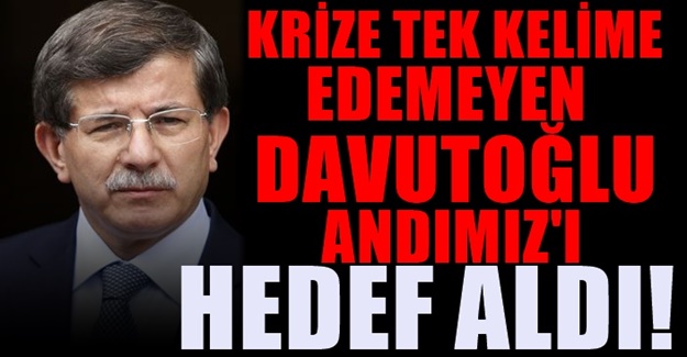 Ahmet Davutoğlu'ndan tepki çeken 'Andımız' yorumu