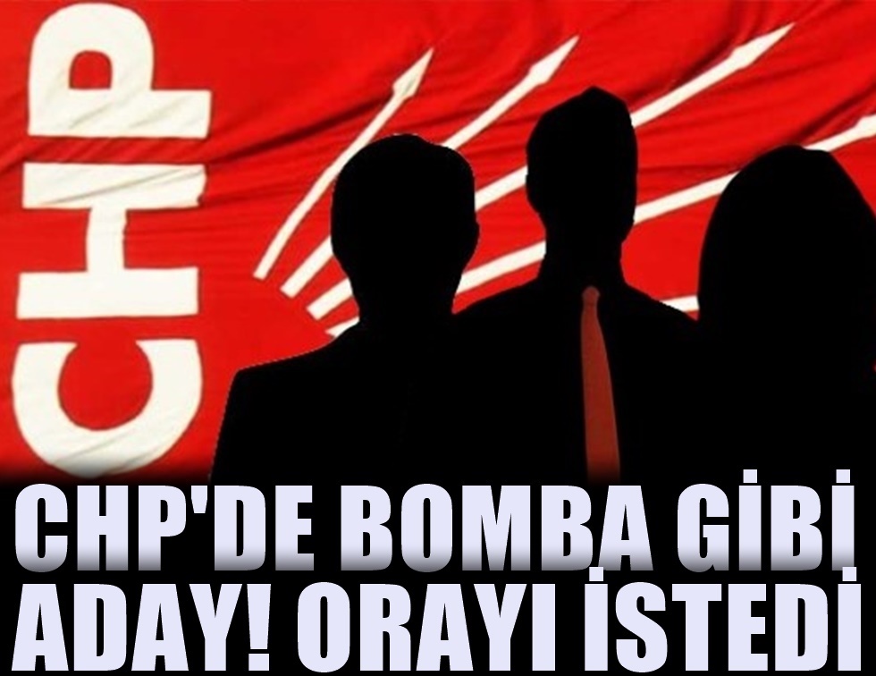 Ünlü sanatçı CHP'den aday olmak istiyor: Yer belli