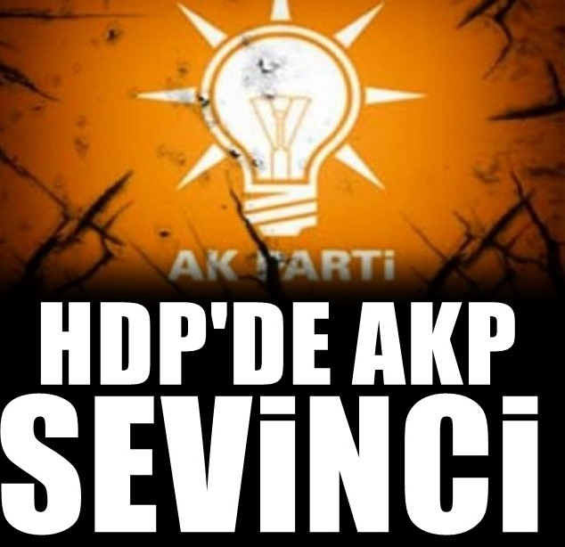 AKP'nin adayı HDP'de sevinç yarattı