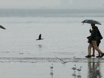 Meteoroloji Genel Müdürlüğünden 'Kuvvetli Yağış' Uyarısı