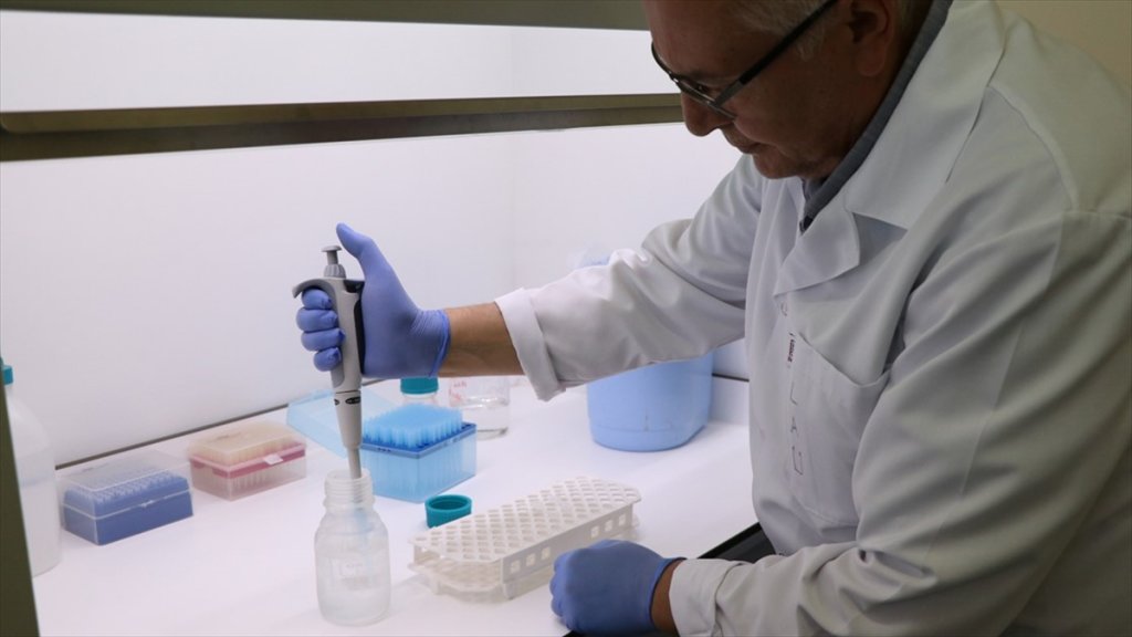 Patatesin Dna'sı İncelenerek Hastalıklara Dayanıklı Çeşitler Geliştiriliyor