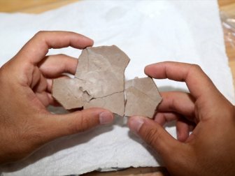 Çankırı'da 8,5 Milyon Yıllık Deve Kuşu Yumurtası Bulundu