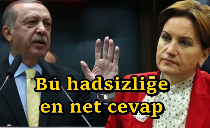 Meral Akşener’den Erdoğan’a çağrı