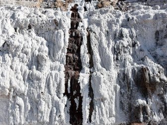'Delice Tuzu' Birçok Ülkeden İlgi Görüyor