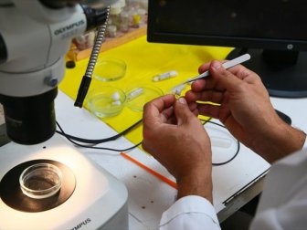 Türk Sularında 56 Yeni Canlı Türü Tespit Edildi