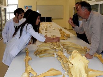 Kırşehir'de Bulunan Fosiller Dünya Literatürüne Kazandırılacak