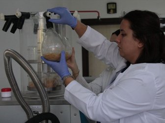 'Bacillus' Türü Bakterilerin Pet ve Naylonu Parçalayabildiği Belirlendi