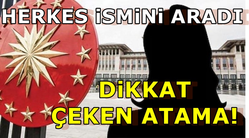 Erdoğan'a gizemli danışman