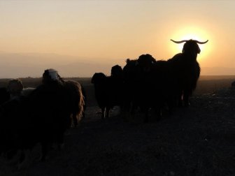 Ağrı Dağı Mevsimin Son Yaylacılarını Uğurladı