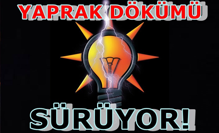 AKP'de bir Davutoğlu istifası daha