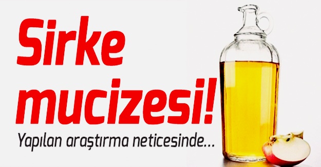 Sirkenin hiç aklınıza gelmeyecek sırrı sizi koruyacak!