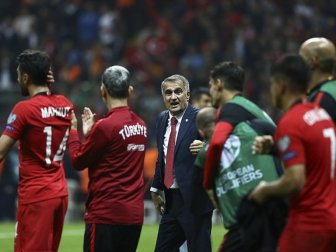 A Milli Futbol Takımı İki Özel Maç Yapacak