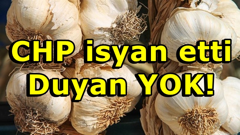 CHP isyanda! Şimdi de Sudan'dan sarımsak ithal ettiler!