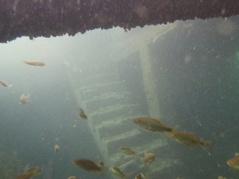 Rumkale'nin Su Altında Kalan Eşsiz Güzellikleri Ziyarete Açılacak