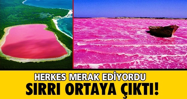 Sanılanın aksine nedeni meğer buymuş! Ezber bozan sırrı açığa çıktı