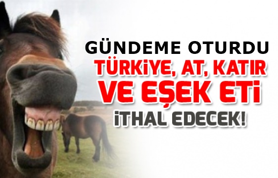 Sudan'dan at ve eşek eti ithal edilecek