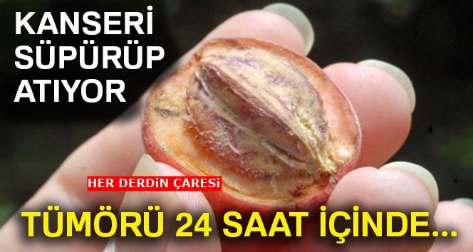 Kanserli Hücreleri Süpürüp atarak hücreleri yenileyen mucize yiyecek