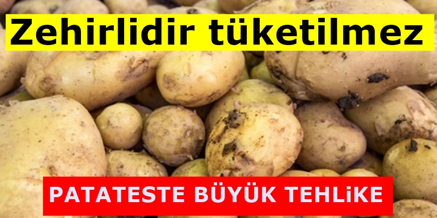 Uzmanlar uyarıyor Filizlenmiş patatesi sakın yemeyiniz! Eğer yerseniz...