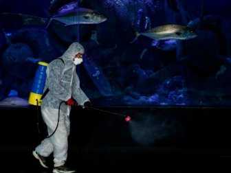 Antalya Akvaryum'da Dezenfekte İşlemi Yapıldı