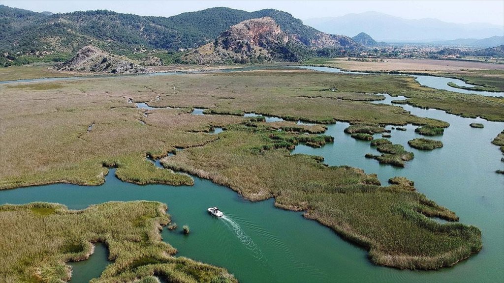 Dalyan Sazlıkları Yine Gözde Mekan Olacak! Binlerce kişi bekleniyor