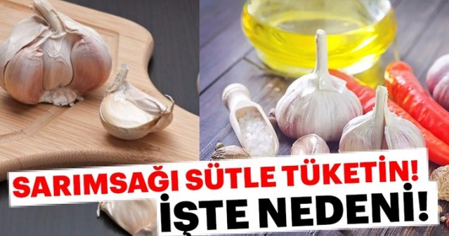 Kaynayan Sütün İçine 1diş Sarımsak Atıp İçin O sorun biter