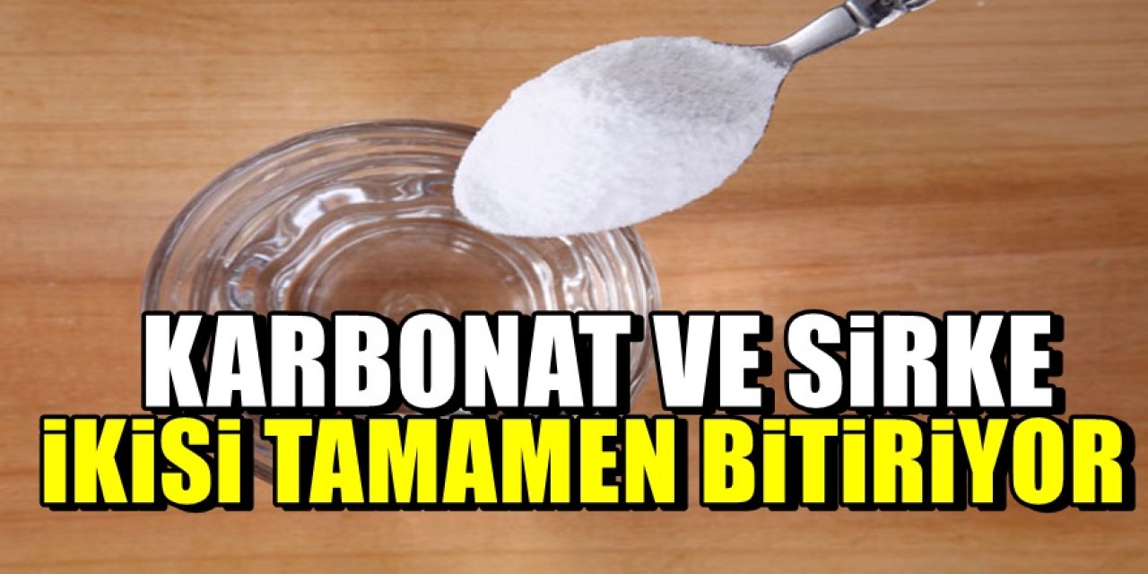 1 kaşık Karbonat ve sirkeyi karıştırıp tuvalete dökerseniz o sorun geçiyor