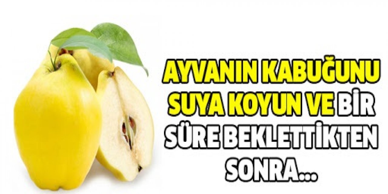 Ayva Kabuklarını Kaynatıp İçerseniz o sorun biter