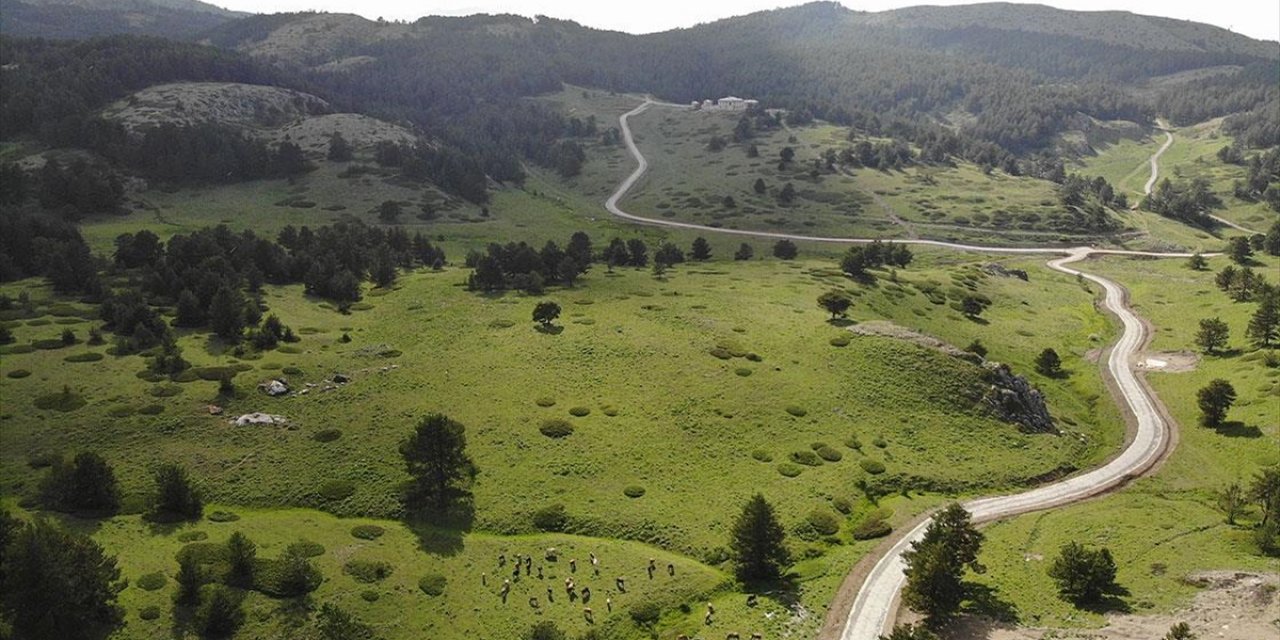 Erzcincan'da ki Dumanlı Yaylası İzole Piknik İmkanı Sunuyor