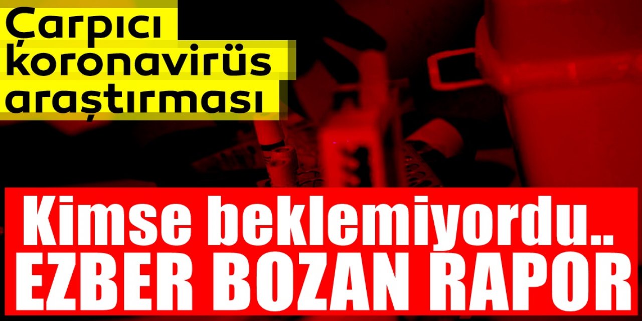 Koronavirüsle İlgili Son Araştırma Bilinen Her şeyi Alt Üst etti