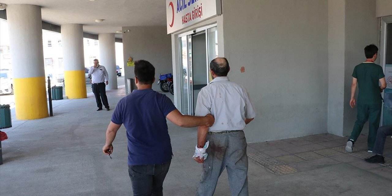Yurdun Birçok Kesiminde 'Acemi Kasaplar' Hastanelik Oldu
