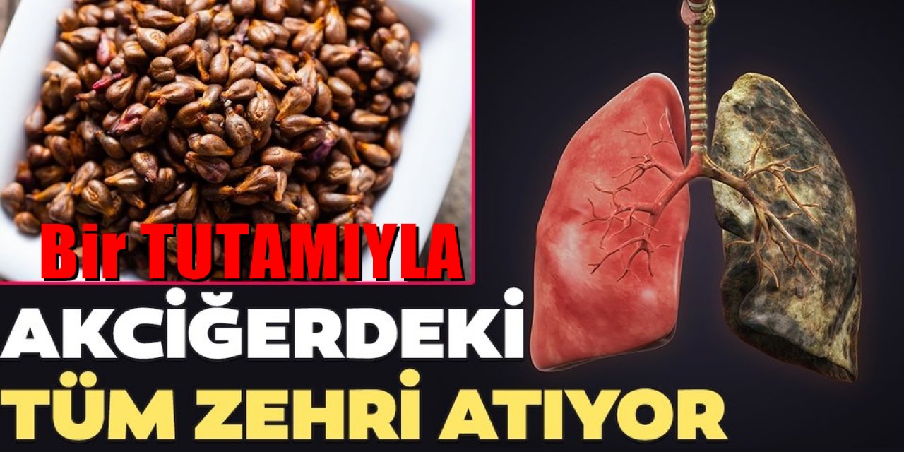 Akciğerinizi Temizlemek istiyorsanız bu baharatın 1 tutamı yetiyor