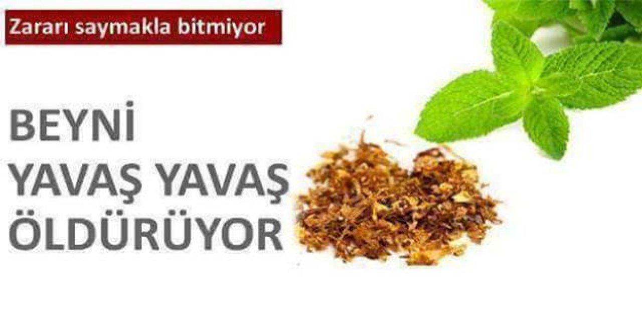 Bu Yiyecekleri Yerken Dikkatli Olmalısınız Beyni Bitirip Hastalıklara Yol Açıyor