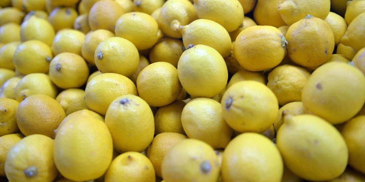 Limon İhracatında Ön İzin Şartının Kaldırılması Sektör Tarafından Sevinçle Karşılandı