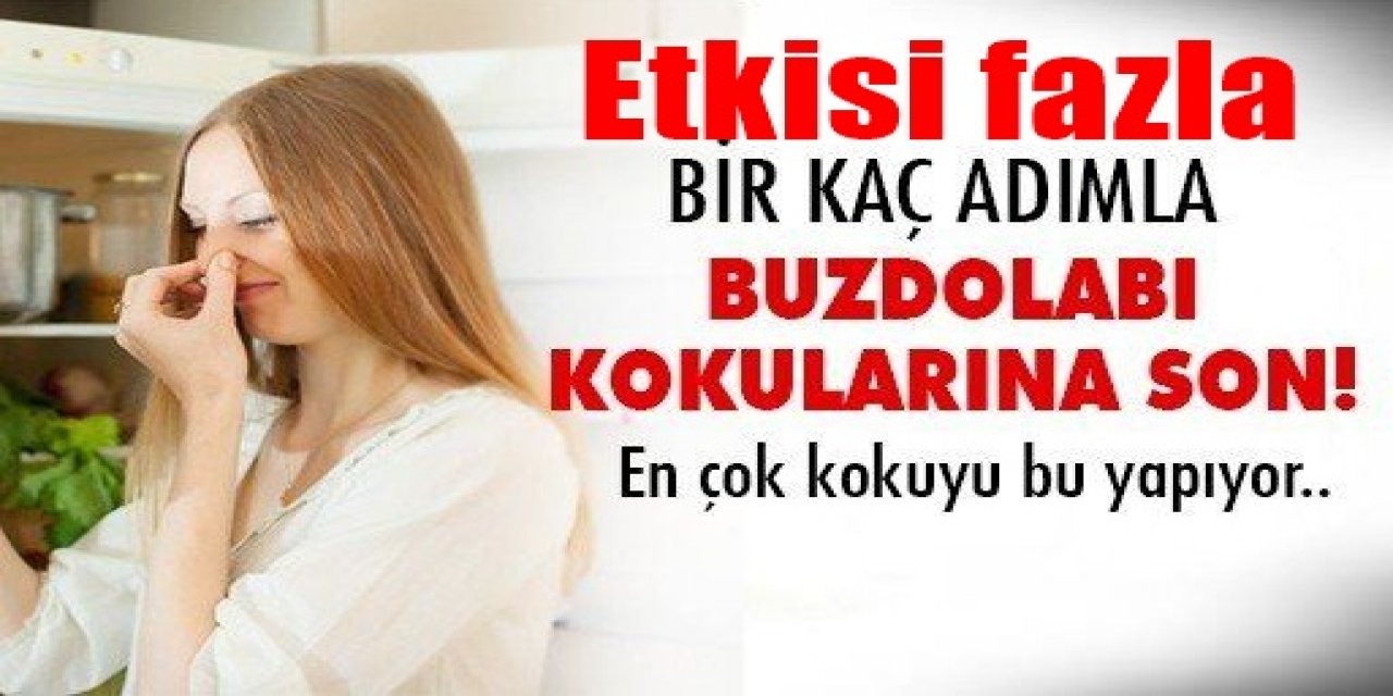 Bir tutam açık olarak koyun Buzdolabı Kokusunu anında geçiriyor
