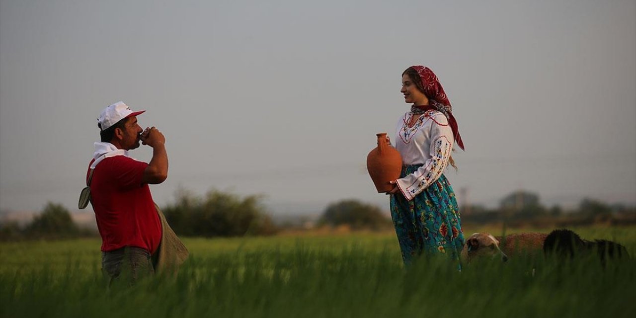 Fotoğrafçıların Yeni Gözdesi Çeltik Tarlası Oldu