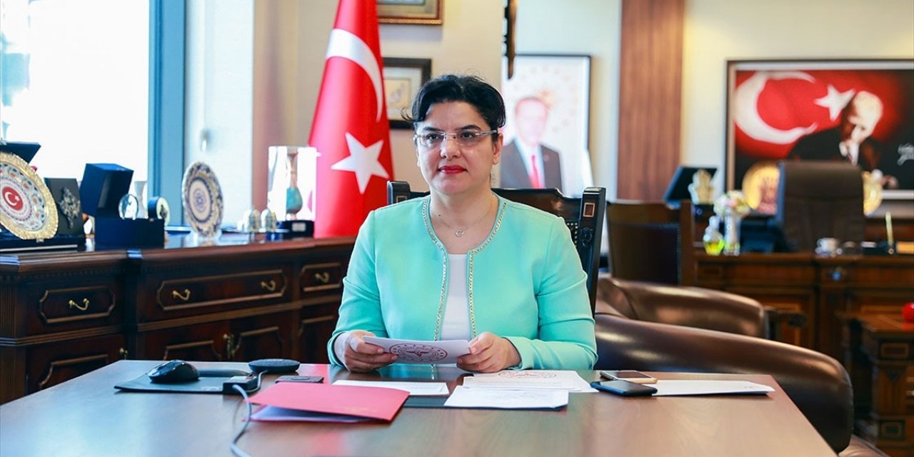Türk Konseyi Sağlık Bilim Kurulu Video Konferans Yoluyla İkinci Kez Toplandı