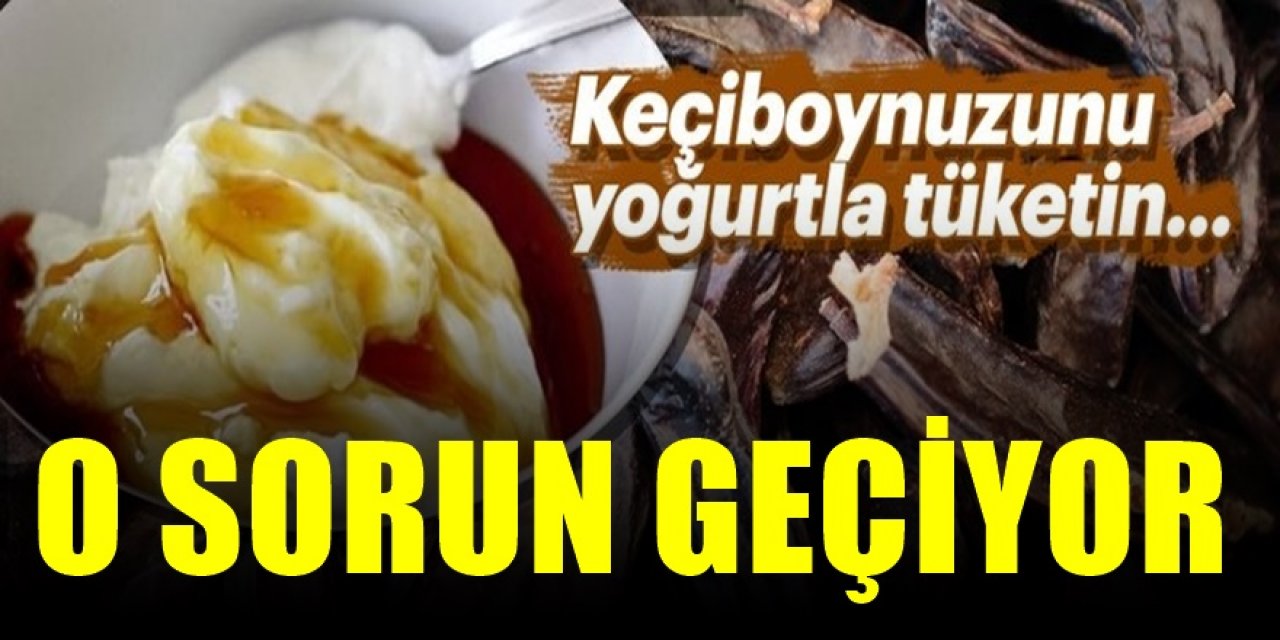 Yoğurtla Keçiboynuzunu 2 Ay Karıştırıp Yerseniz O sorun geçiyor