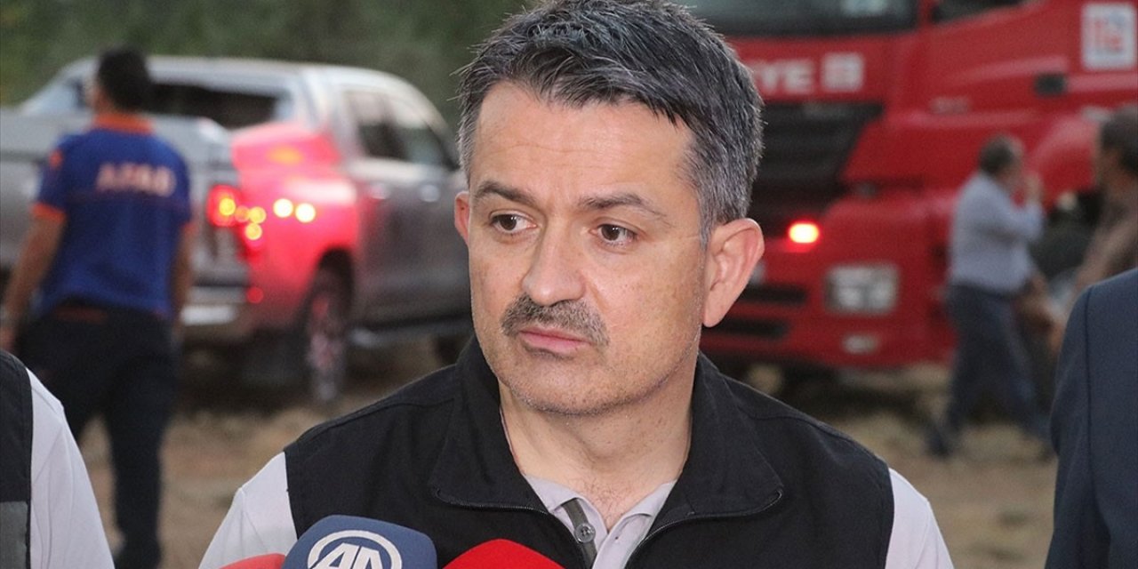 Bakan Pakdemirli: '24 Orman Yangınının 8 Tanesi Tamamen Söndürüldü'