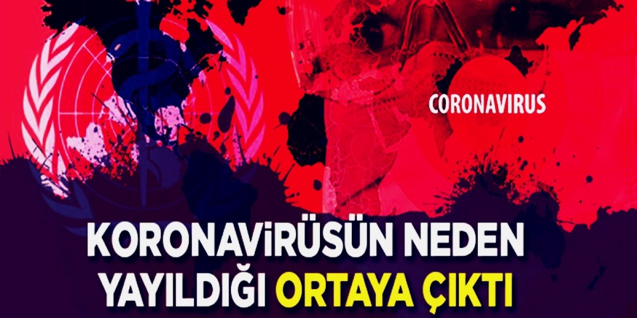 Vakalar Neden Artış Gösterdi Diyenlere Gerçeği Kimse Böylesine hiç Açıkça Açıklamamıştı!